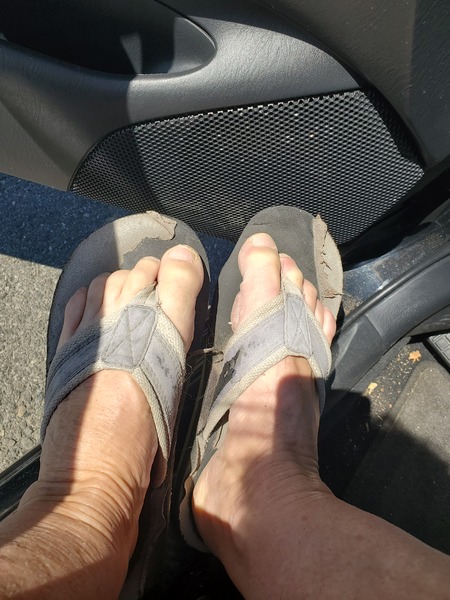 WAG this way , Word Association