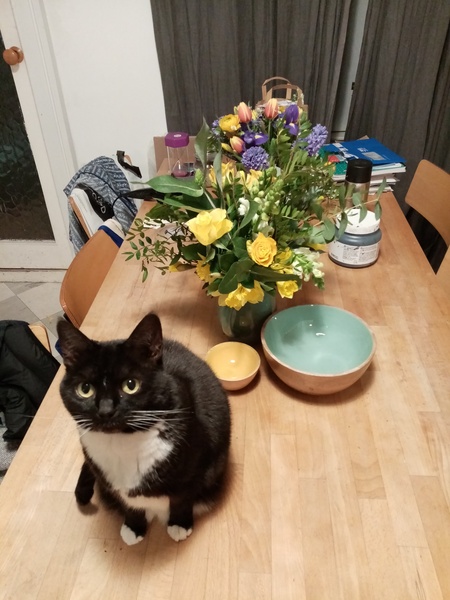 DCAT died this afternoon