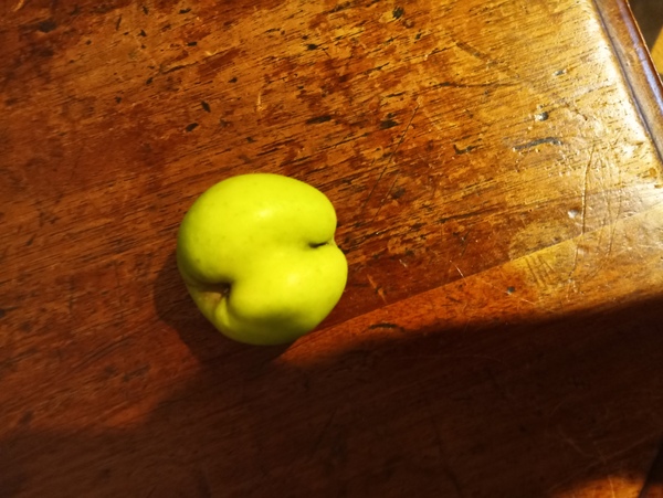 ADs don't want your freedom, ADs don't want to play around