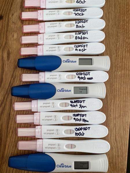 Continued chat of all things IVF, FET & to feel sane...cycle buddies August/September -