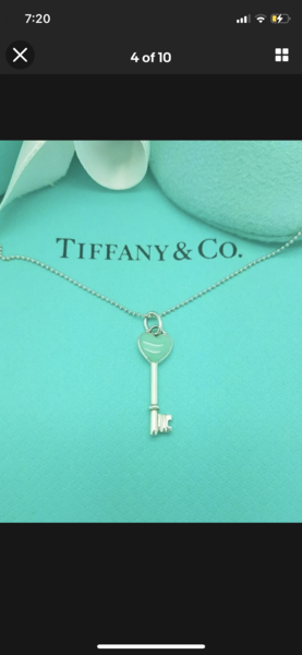 What is this sort of necklace called? Plug chain??!