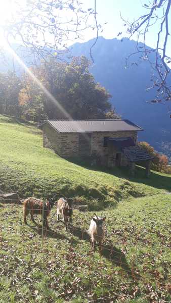 Trapped toddler parents: Inspiration and support needed through the summer hols!!