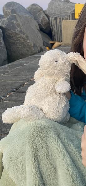 Can anyone help identify a missing beloved soft toy!!