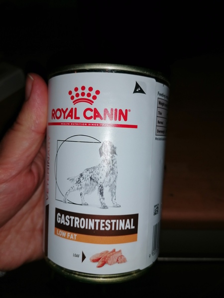 Puppy survival thread. Oct/Nov fireworks!