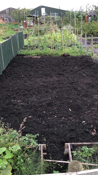 Countdown to Christmas 2021 - Halloween and Bonfire Night are coming; autumn is definitely here! (Thread 6)