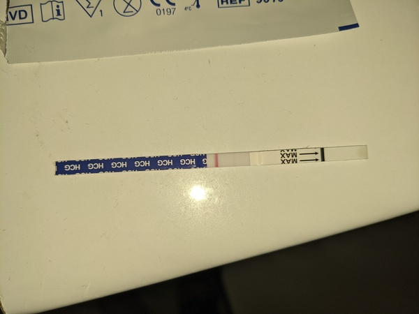Pregnant after miscarriage?