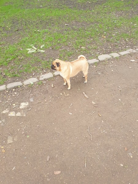 She is not fat