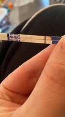 Are these positive?