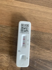 Lateral flow tests always positive