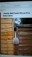 AIBU to miss silly meme threads?