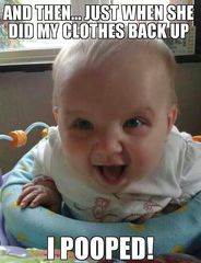 AIBU to miss silly meme threads?