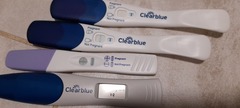 CD 25 line eyes? BFP?