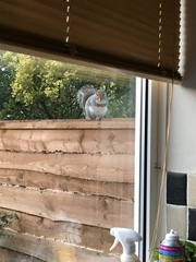to ask what random shit is going on in your world today?