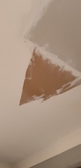 ceiling repair pls ?