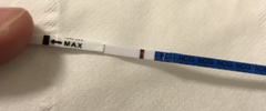 Cd23, bleeding, 3 tests show faint bfp, confused..