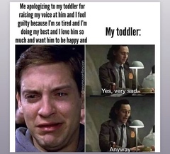 AIBU to miss silly meme threads?