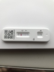 Lateral flow tests always positive