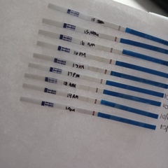 Faint lines at 20DPO