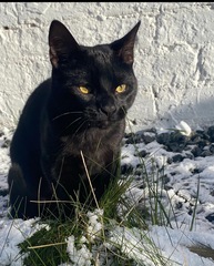 My boy has gone and I’m heartbroken.