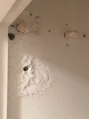 To ask for the most ridiculous diy you've found in a house