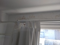 Is my rented property safe? Any surveyors or similar able to help?
