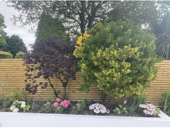 Help with planting for this raised bed