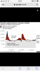 Excess deaths are really high right now. Are these Covid deaths or something else?