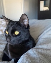 My boy has gone and I’m heartbroken.