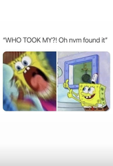 AIBU to miss silly meme threads?