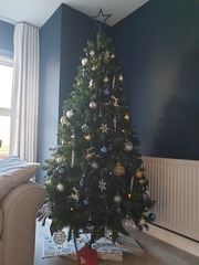 Christmas Tree Suggestions