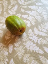 Weird fruit