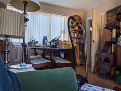 narrow living room