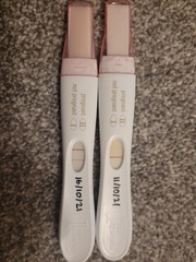 4-5 week FRER photos?