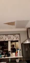 ceiling repair pls ?