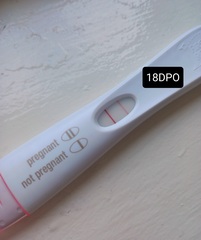 17 dpo - FRER