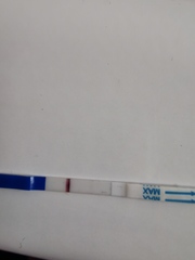 False positive?