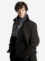 Swagger Inn 170. Autumn is here with a vengeance.  I think we'll just hide under the duvet --with HBFs-- until Spring.