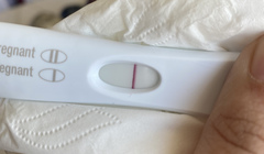 First response pregnancy test