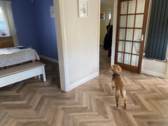 Herringbone floors - date quickly?