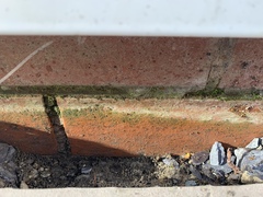 Damp proof course and patio