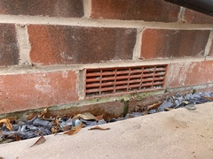 Damp proof course and patio