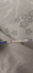 Anyone else get BFN day AF due?