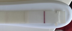 First response pregnancy test
