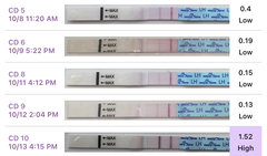 Early ovulation after chemical pregnancy? This is a strong OPK, right?!