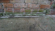 Damp issues in terraced house