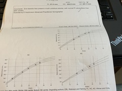 Growth scan confusion