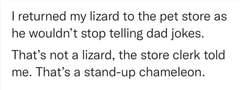 Anyone awake? Can you just chill me out a bit??