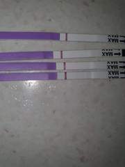 4-5 week FRER photos?