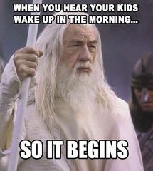 AIBU to miss silly meme threads?