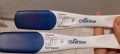 CD 25 line eyes? BFP?